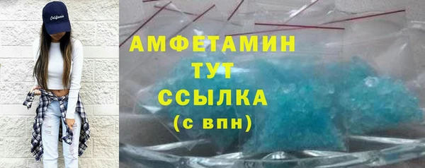 стаф Инта