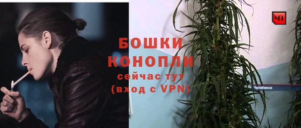не бодяженный Инсар
