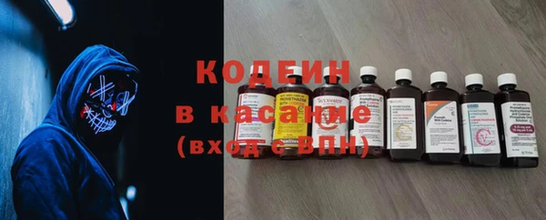 стаф Инта