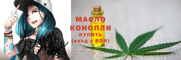 стаф Инта