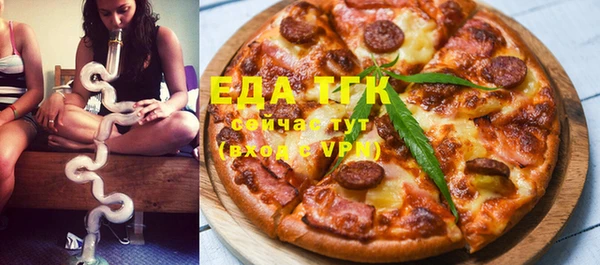 стаф Инта