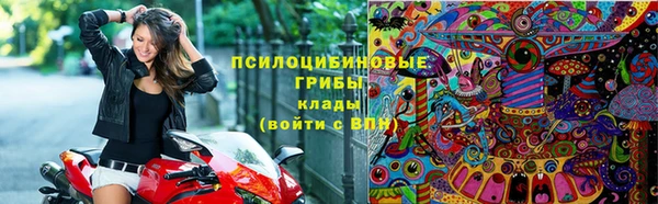 стаф Инта