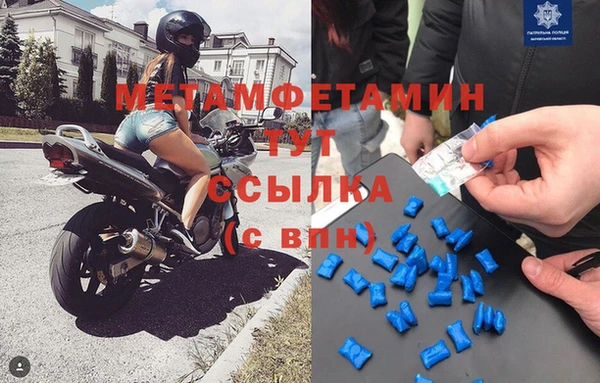 стаф Инта