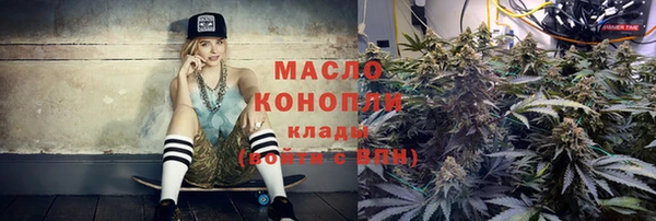 стаф Инта