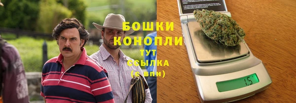 стаф Инта
