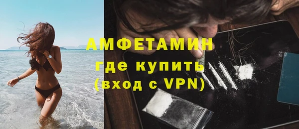 стаф Инта