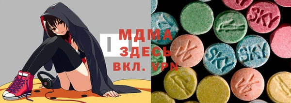 стаф Инта