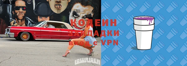 стаф Инта