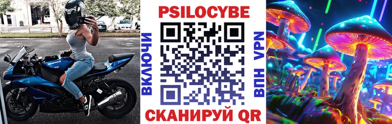 Галлюциногенные грибы Psilocybe  Купить где  Галич 